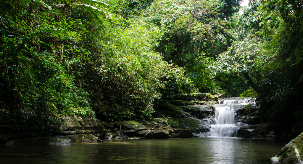 Waterfalls in the Backyard
