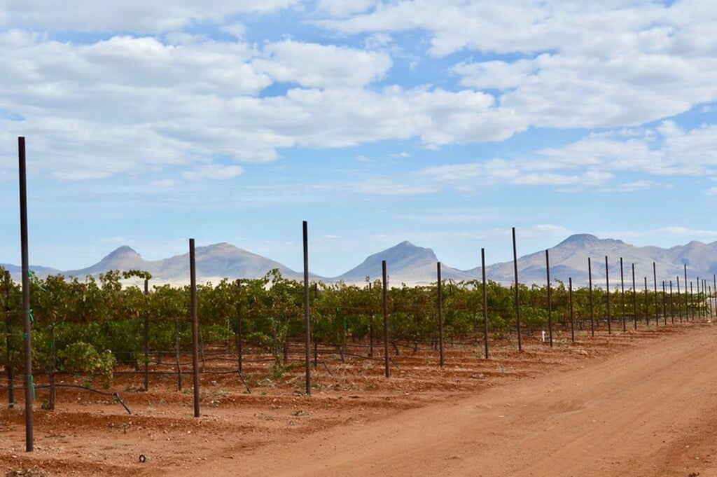 Rancho Rossa