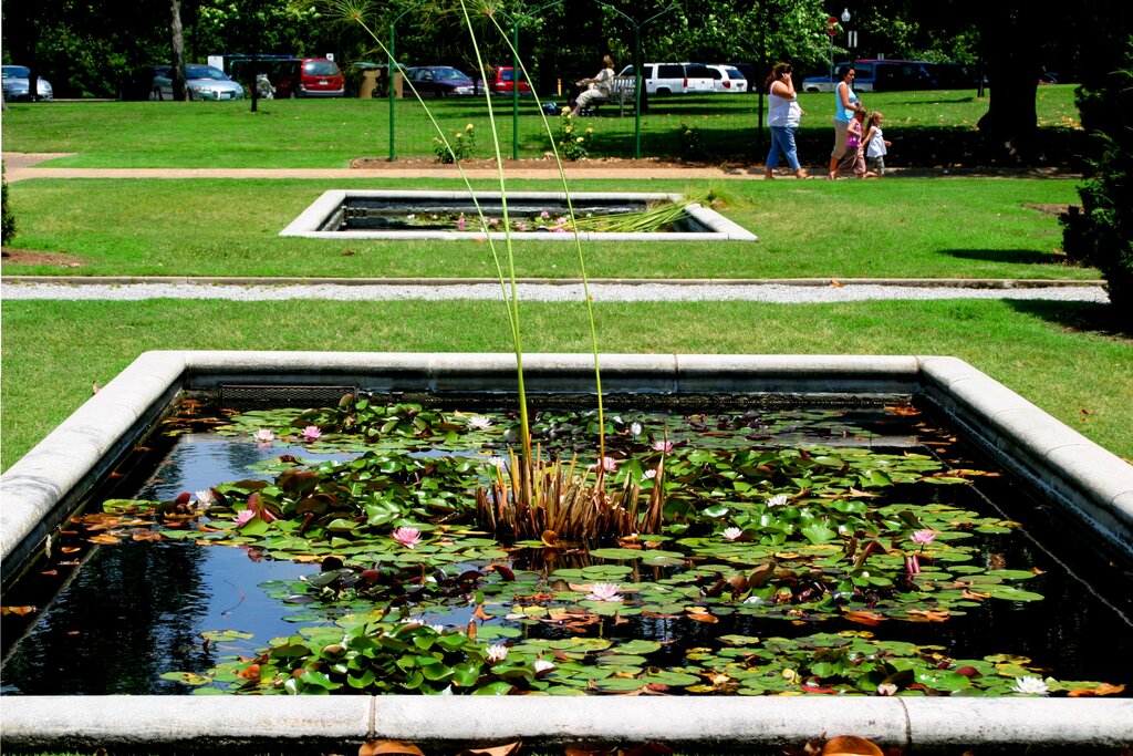 Tulsa Oklahoma Woodward Park Lily Pond