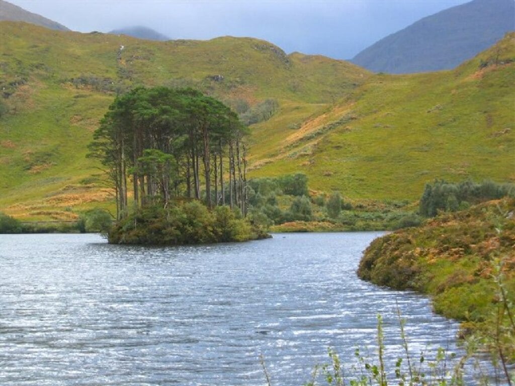 Eilean na Moine, Loch Eilt - geograph.org.uk - 68405