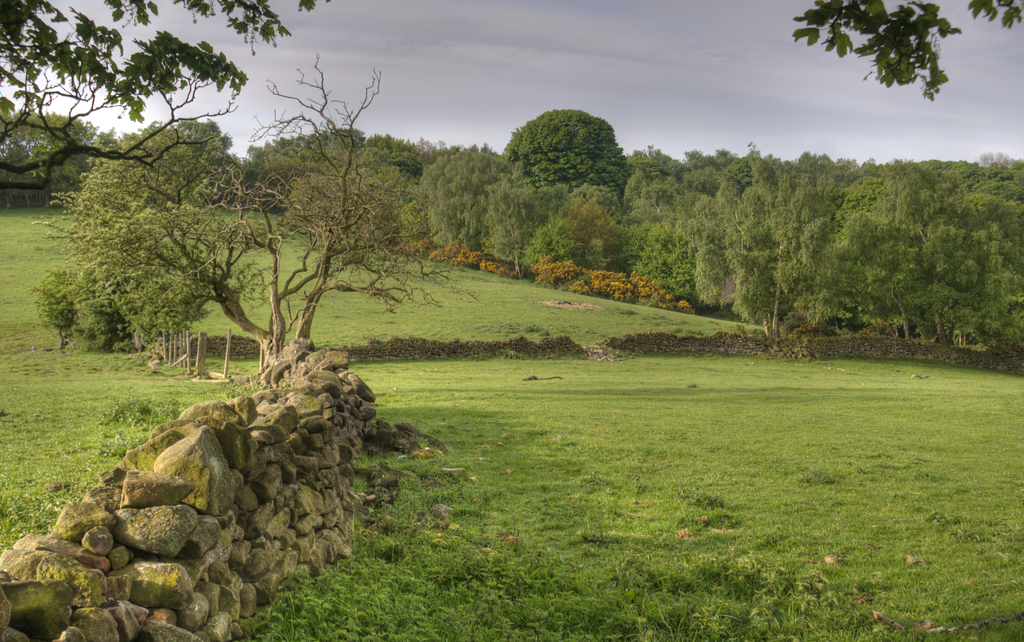 Derbyshire Landscape