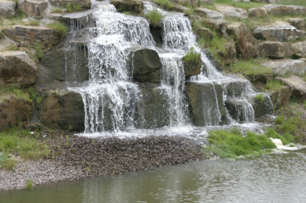 Yorkshire Wildlife Park