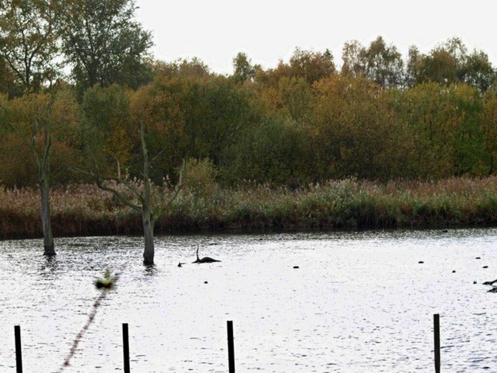  Potteric Carr nature reserve 