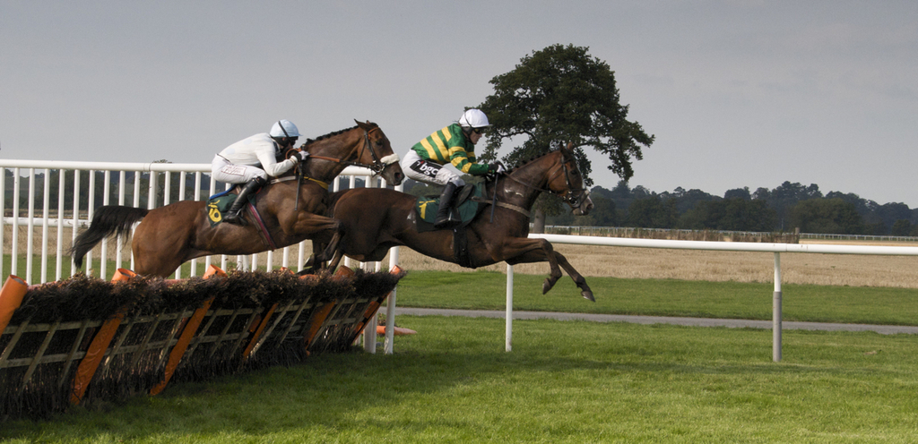 Panoramic Horse Race Jump