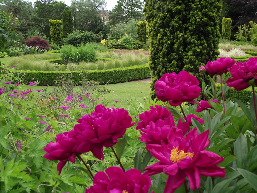 Branklyn Gardens, Perth, Scotland