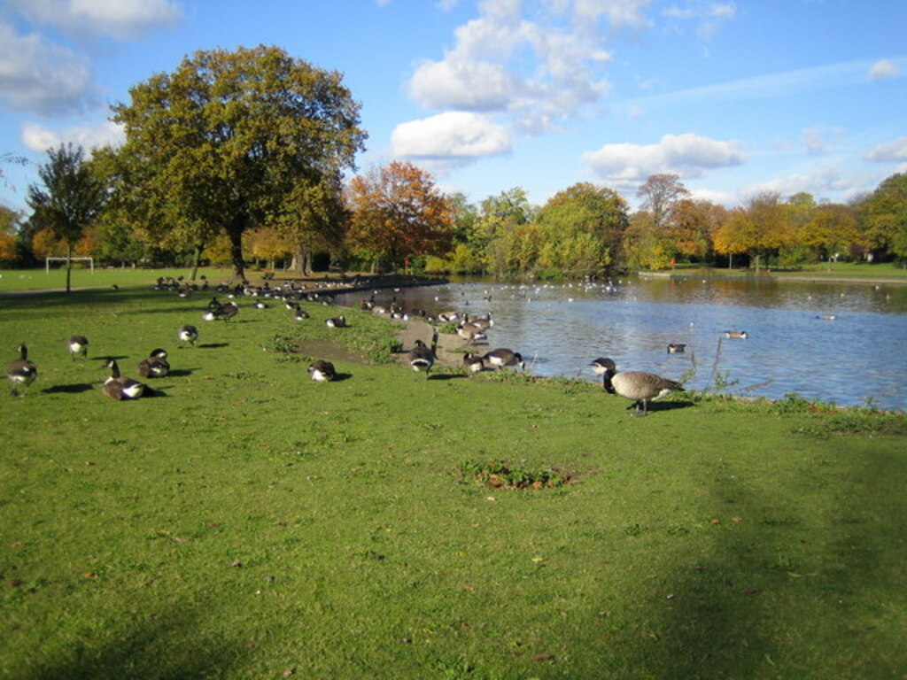 Ilford, South Park, The Lake - geograph.org.uk - 601906
