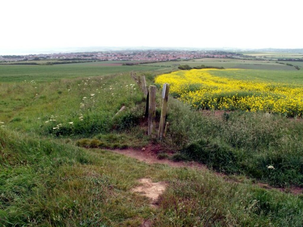 The Cleveland Way looking to Filey - geograph.org.uk - 468963