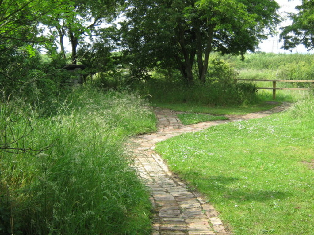 Brick footpath, Cowpen Bewley Woodland Park - geograph.org.uk - 1376933