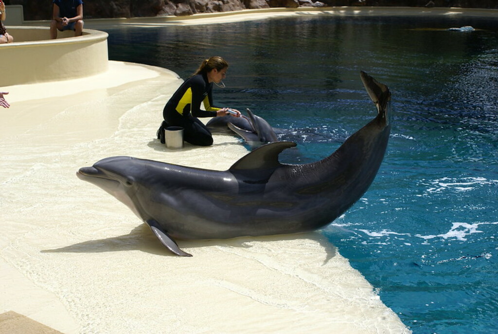 Siegfried & Roy's Secret Garden and Dolphin Habitat