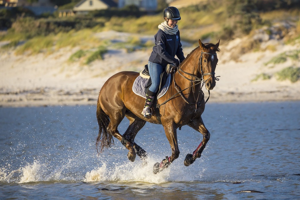 Horseback Riding