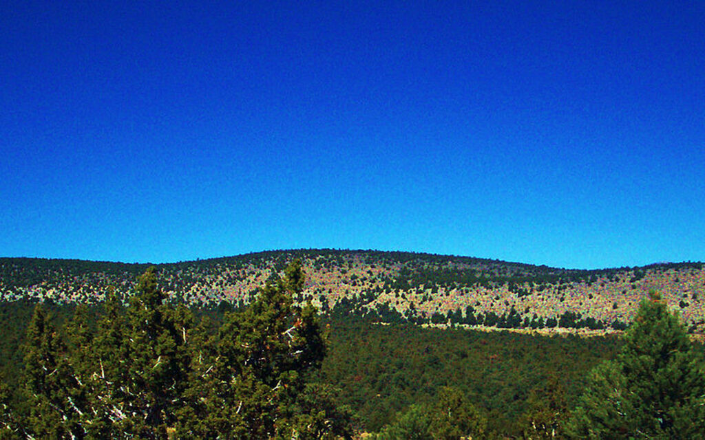 Great Basin National Park 102007 015