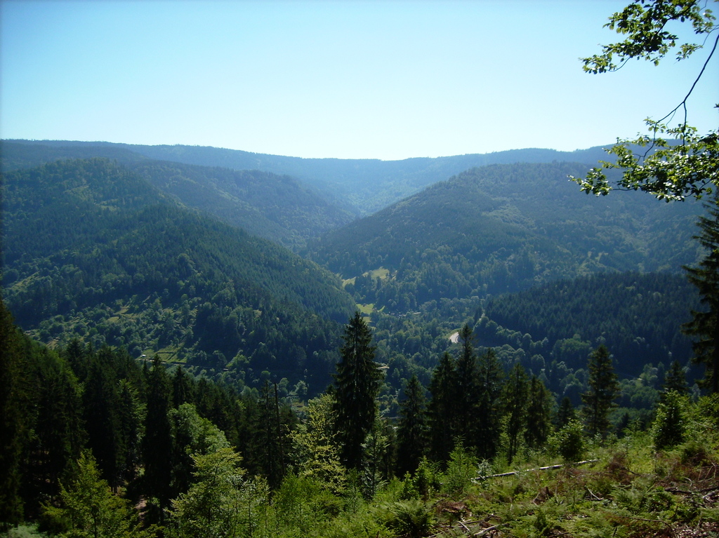 Murgtal, Sasbachtal near Forbach, Northern Black Forest
