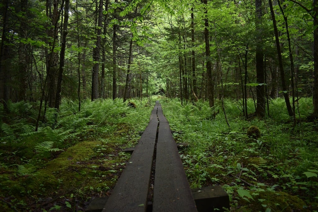 Hiking Trail