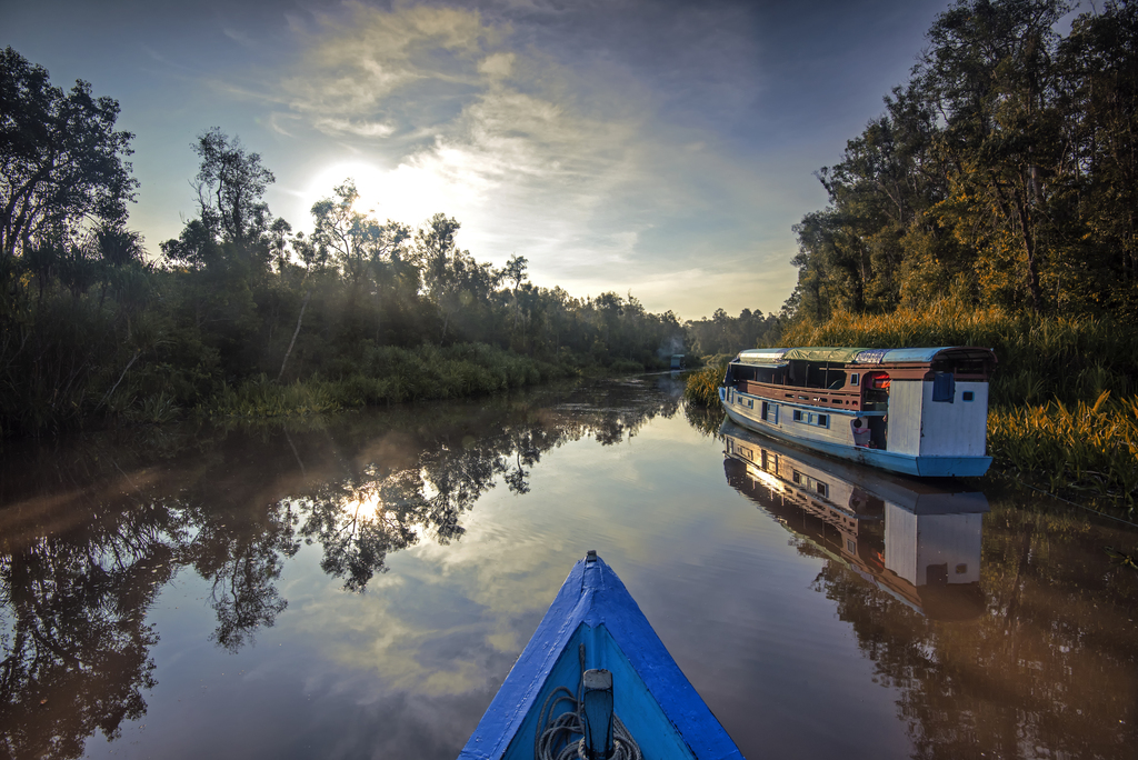 Sunrise at Kumai River