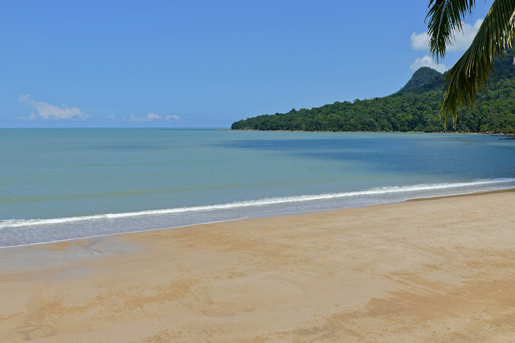 Beach and Jungle
