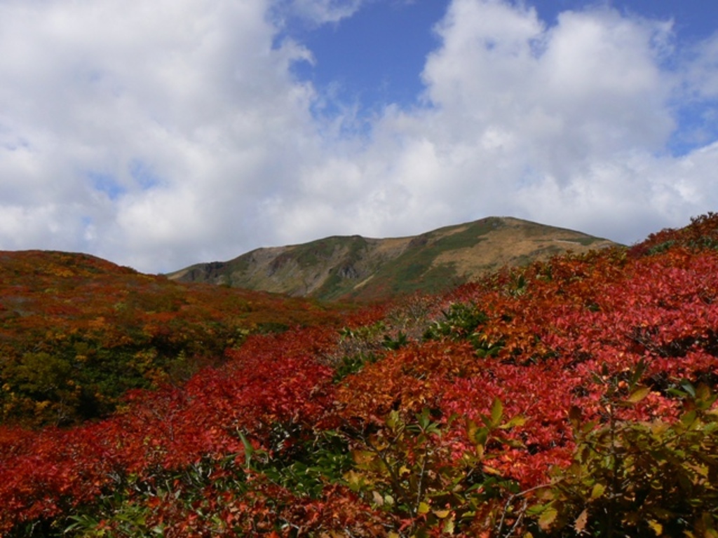 栗駒山 Mt. Kurikoma 1627mH - panoramio