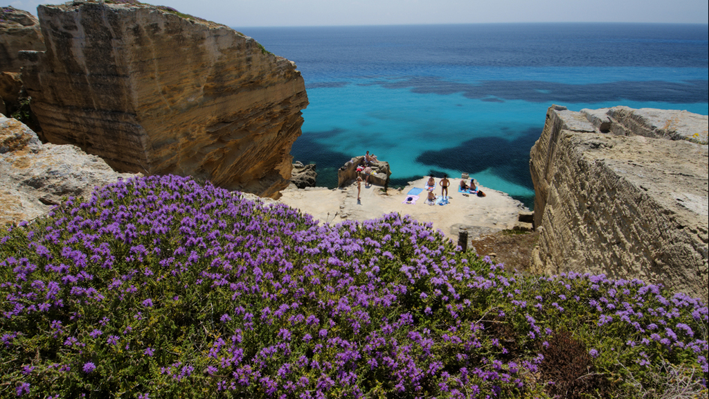 Isole egadi sicily boboviel favignana marettimo levanzo (14)