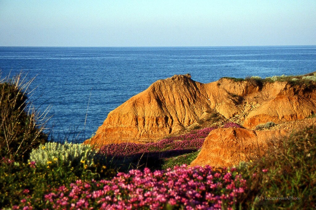 Rocks on the Sea