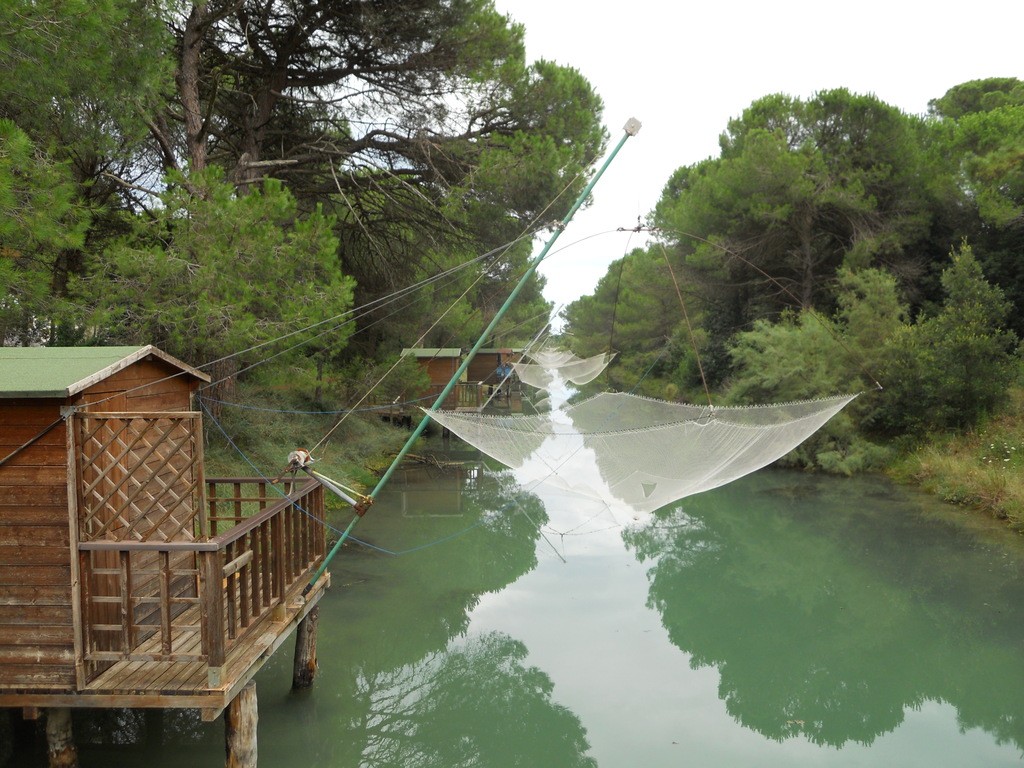 Pineta di Cervia