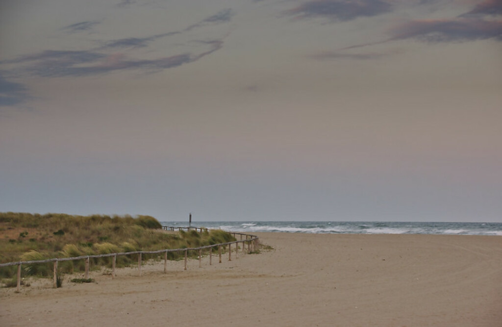 Silence before nightfall