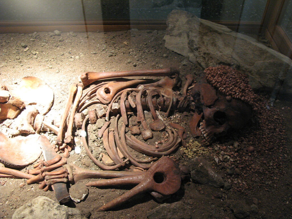 Caverna delle Arene Candide-ritrovamenti Piccolo Principe-museo archeologia ligure