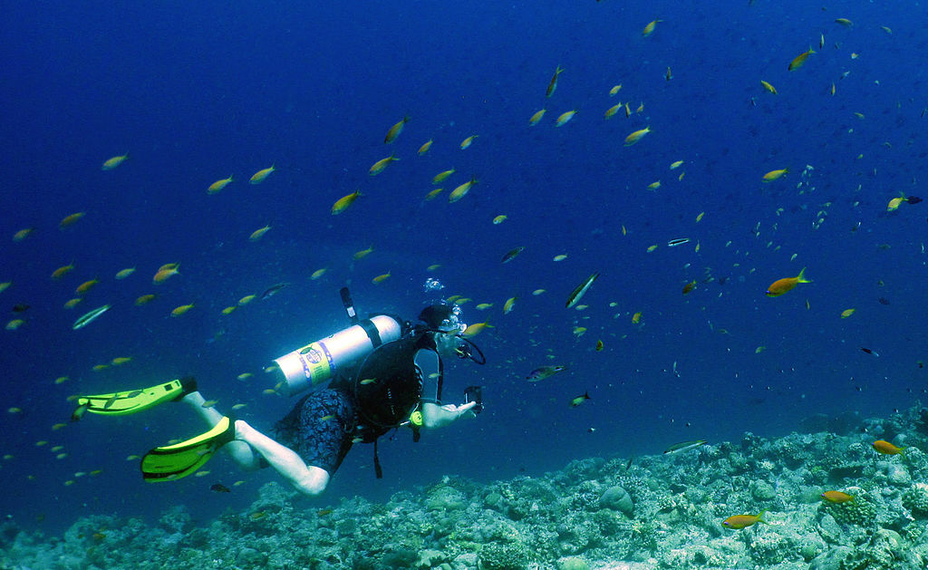020 - Chasing Manta's (8536442920)