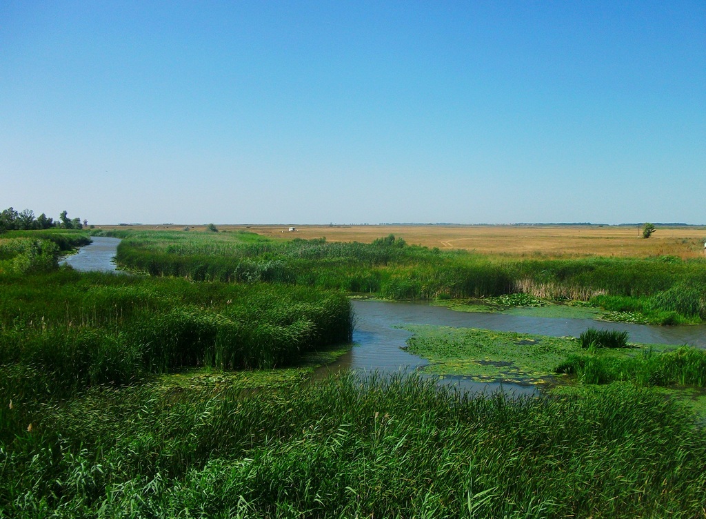Hortobágy River, Hungary 01