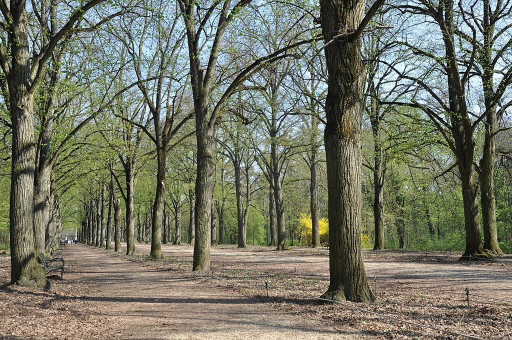 Gödöllő, Erzsébet park, 3
