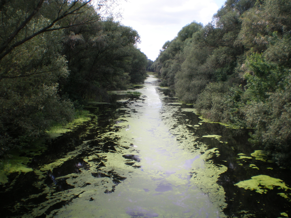 Szigetköz