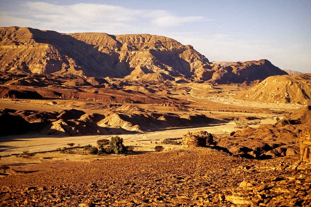 Sinai desert