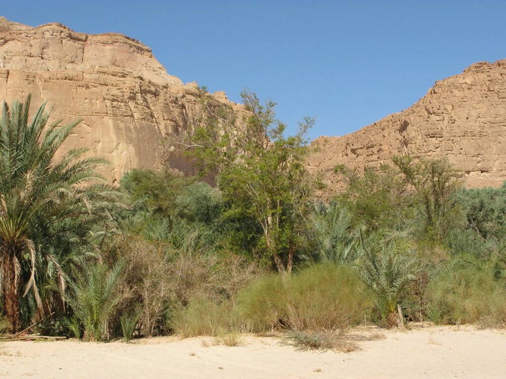 Ain Khudra Oasis
