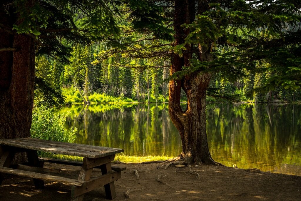 Recreational Park
