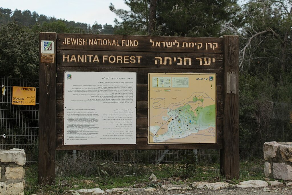 Hanita Forest