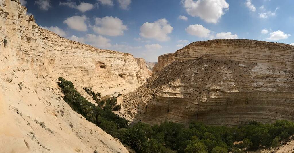 things to do in sde boker | ein avdat national park