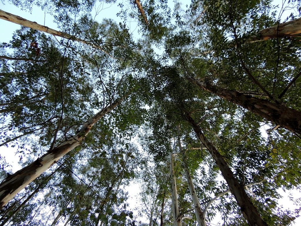 Retreat into nature and take a deep breath