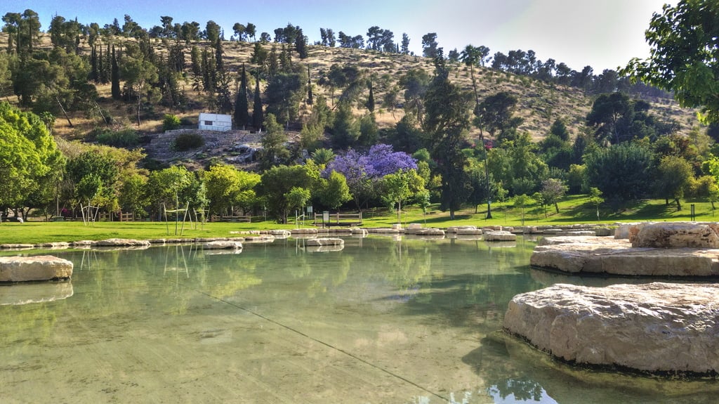 Ma'ayan Harod National Park (33849175144)