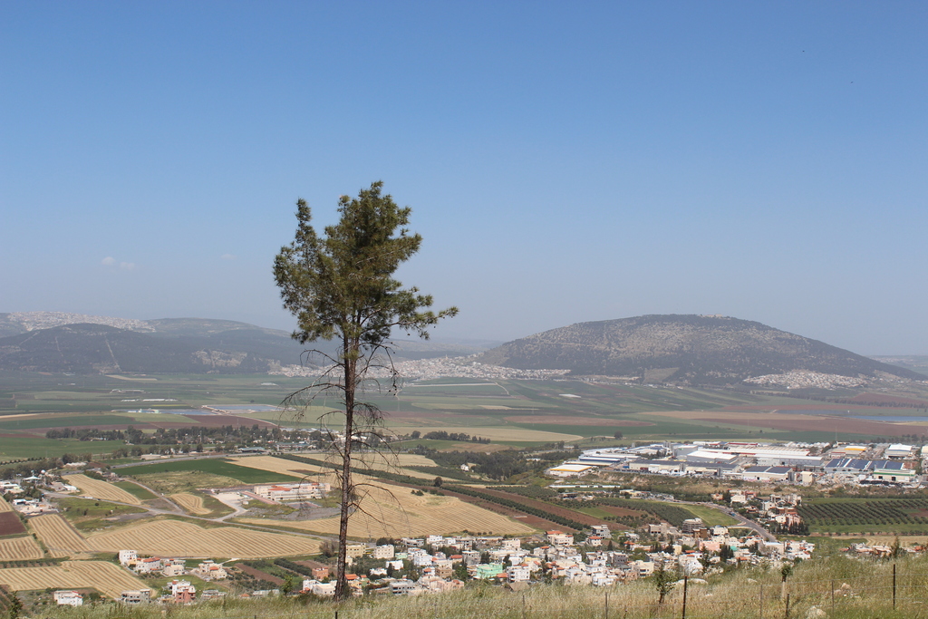 Givat HaMore View IMG 1015