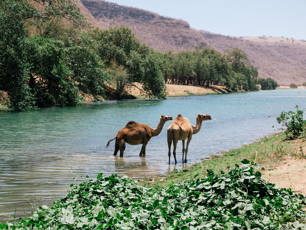 Wadi Darbat 1