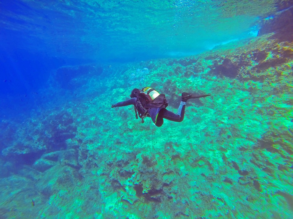 Diving in the sea