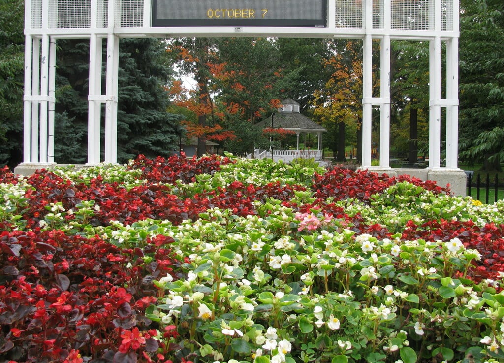 GAGE PARK FALL BEAUTY BEST OCT 07 09