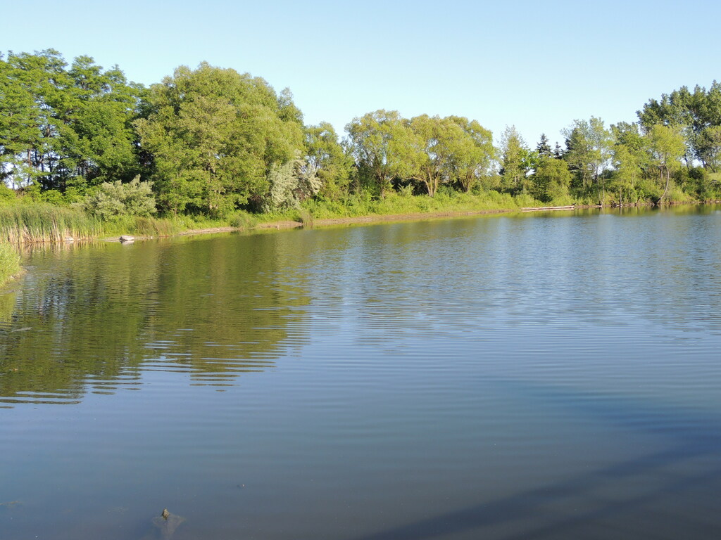 Toogood Pond Markham