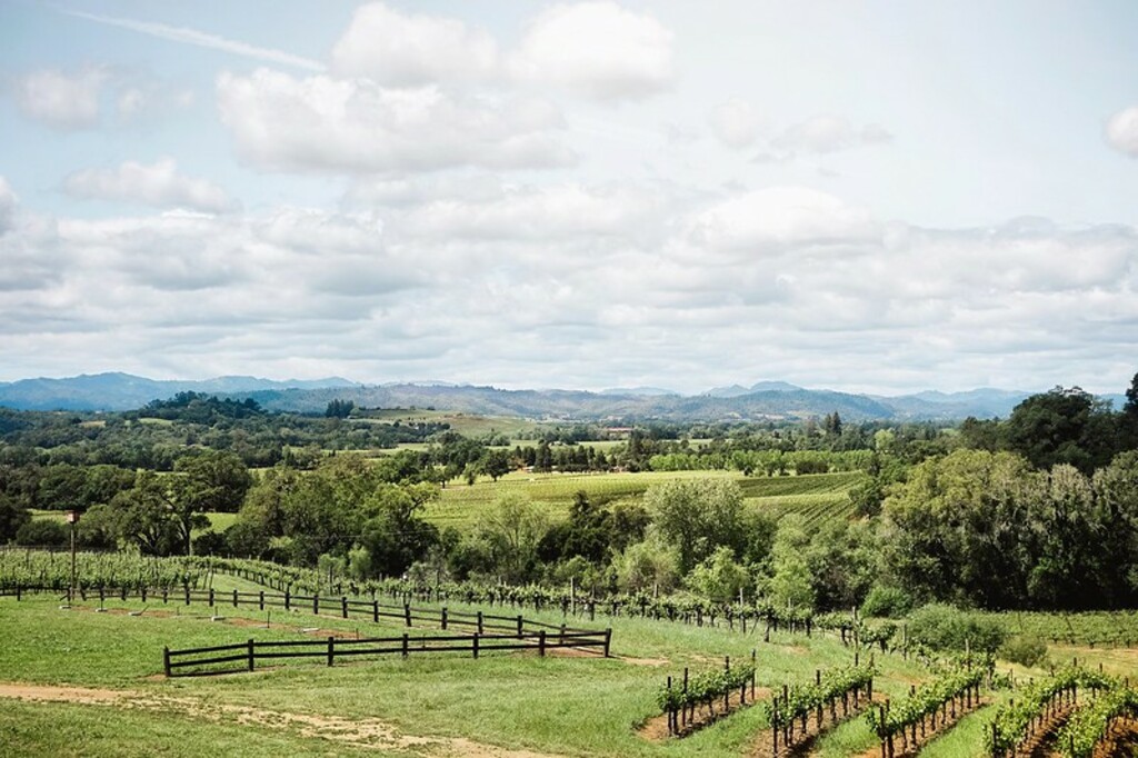 Winery