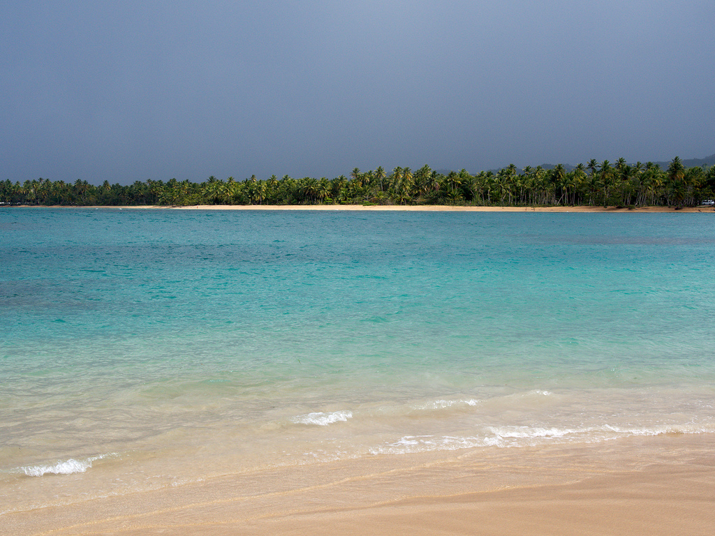 Tropical Storm is Brewing