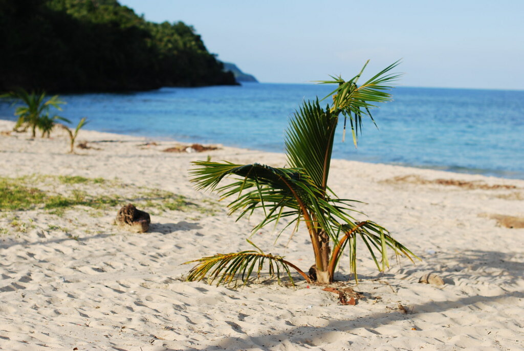 playa rincón