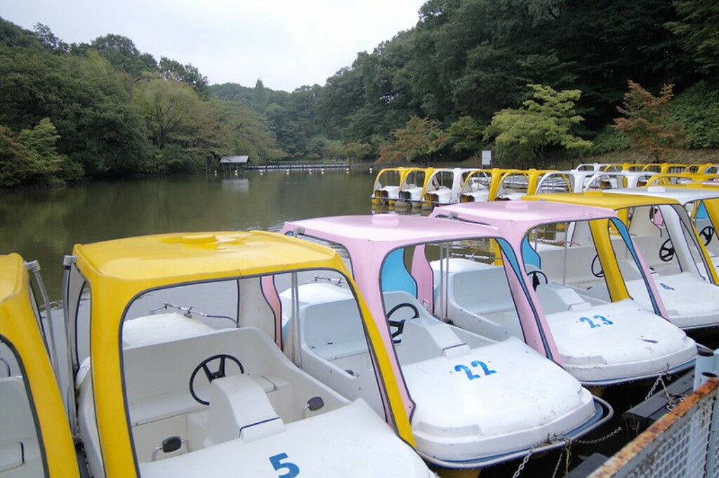 Colorful boats