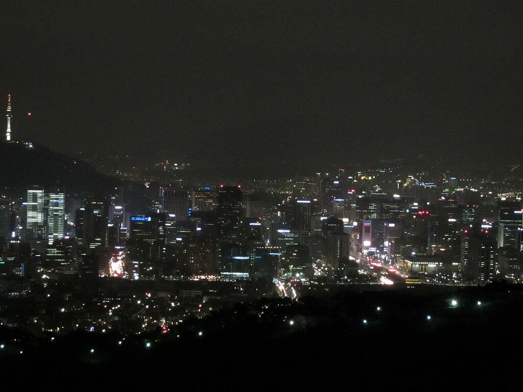 Seoul Nightview(2010)