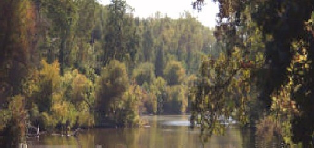 Butte Creek CA.