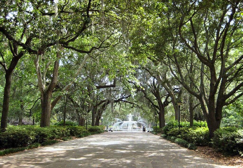 Savannah Forsyth Park