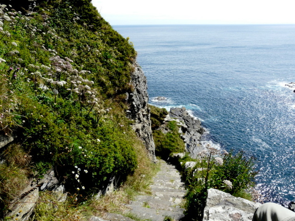 Whaligoe Steps - geograph.org.uk - 893169