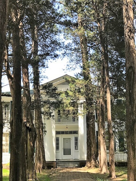 Rowan Oak
